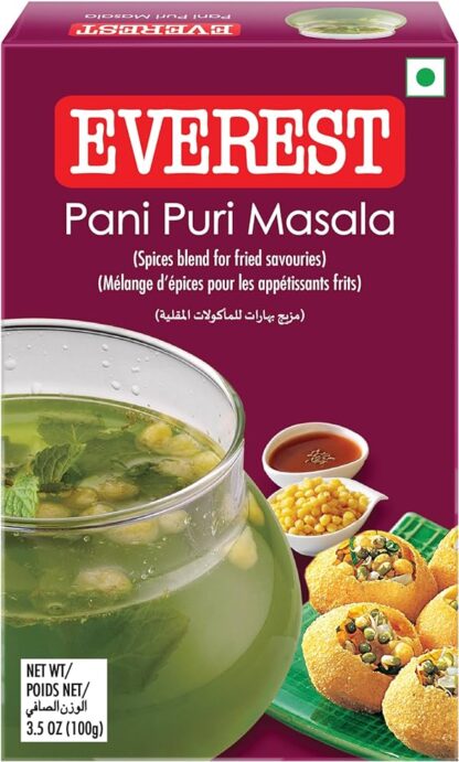 Everest Pani Puri Masala 100G