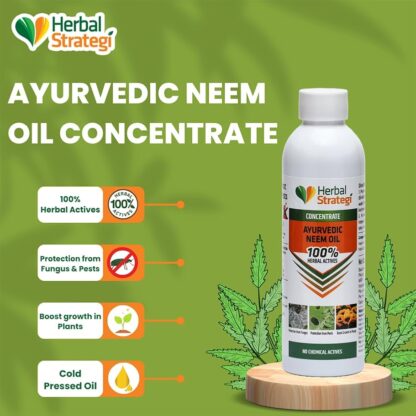 Strategi Neem Oil